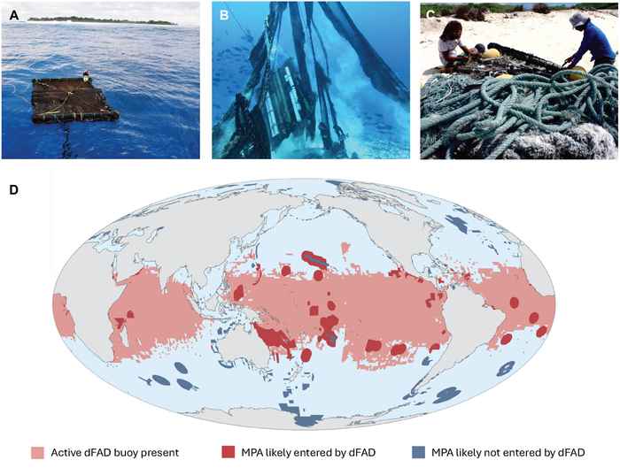 impactos de los dispositivos de agregación de peces